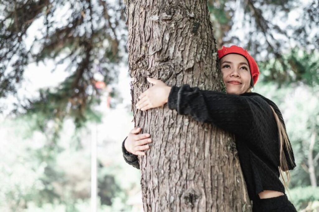 Arborist Epping