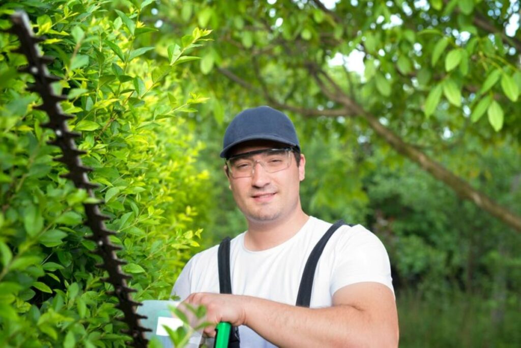 Arborist Epping